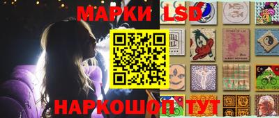 индика Партизанск