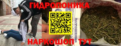 индика Партизанск