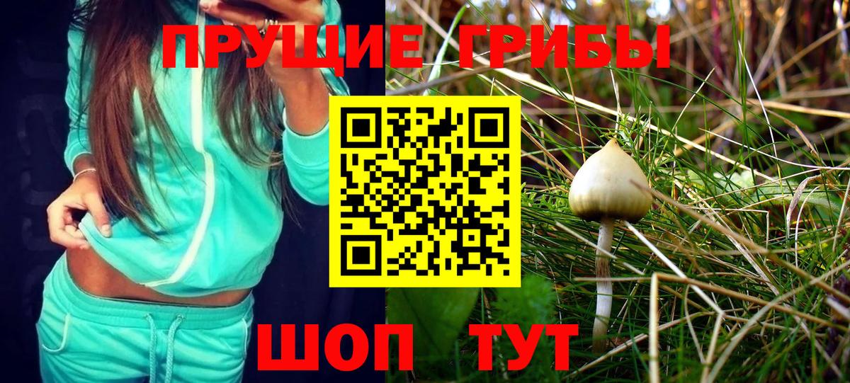 Псилоцибиновые грибы Psilocybe  Галлюциногенные грибы ЛСД  Ростов Великий  Вход с VPN 